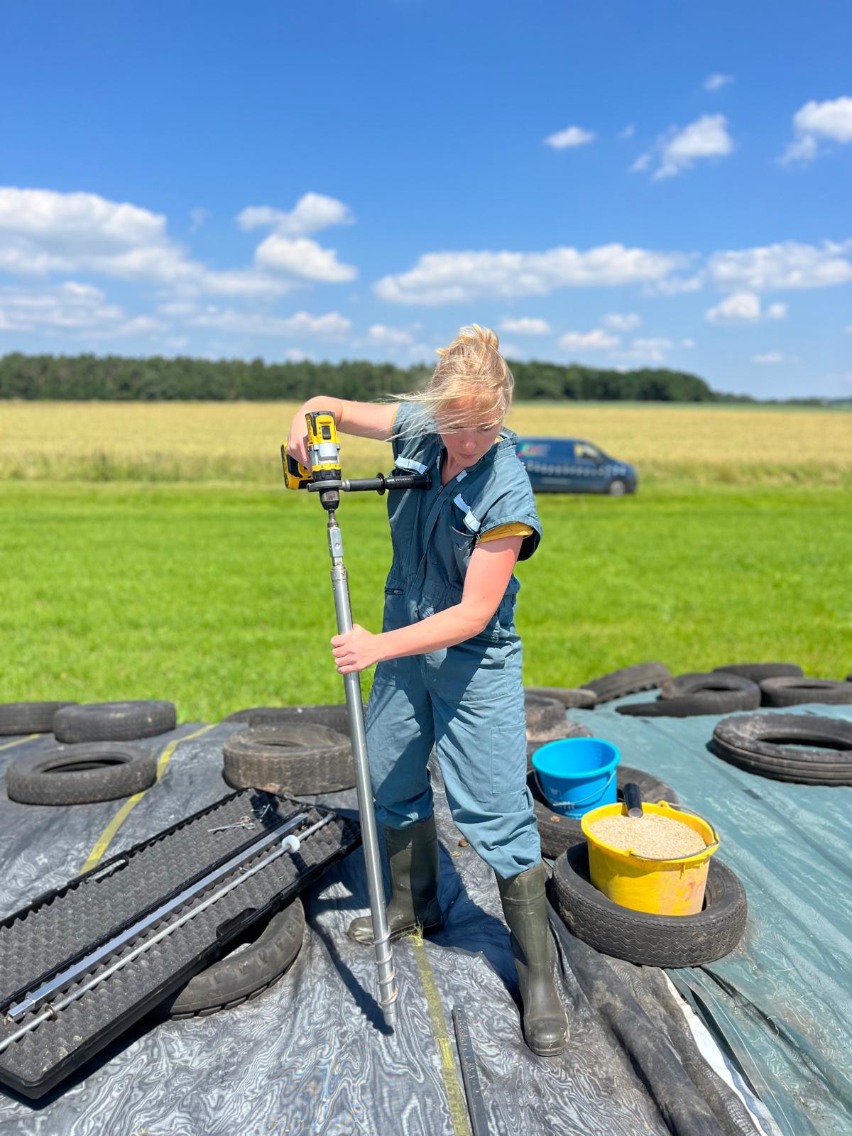 Tierärztin nimmt Silo-Probe
