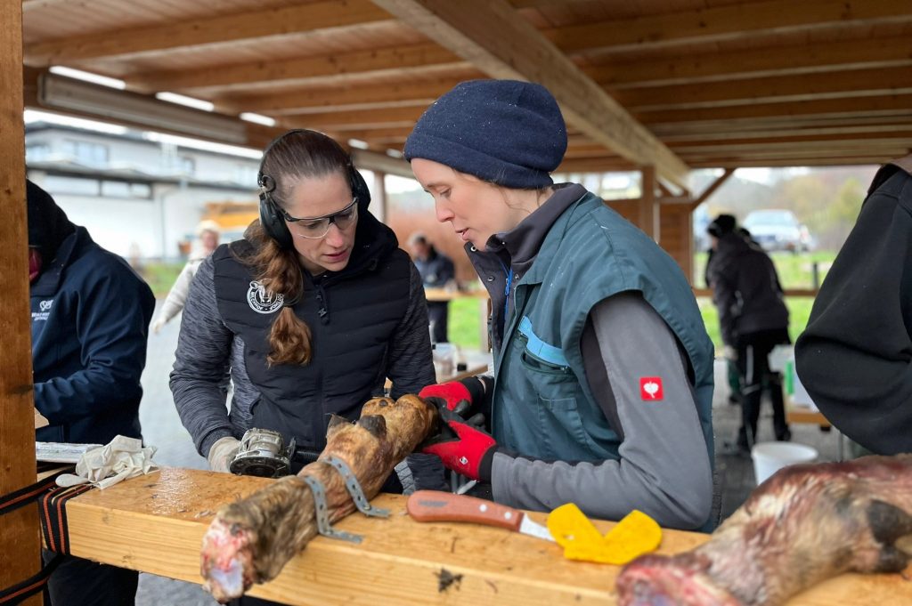 Tierärztin erklärt Frau Vorgehensweise der Klauenpflege an einem Klauenpräparat